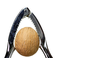Image showing Walnut with nutcracker