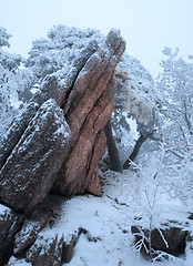 Image showing Red Rock under Snow