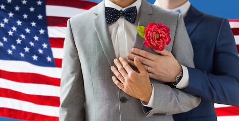 Image showing close up of happy male gay couple