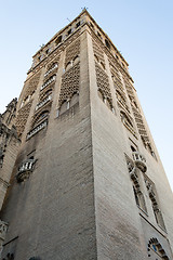 Image showing From the foot of Giralda