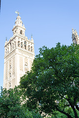 Image showing Giralda among trees