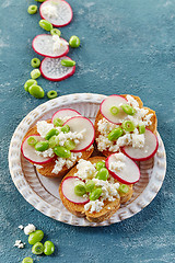 Image showing toasted bread with radish and cottage cheese