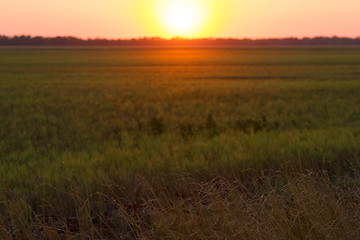 Image showing Rural sunset