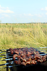 Image showing appetizing barbecue on the fire in the field