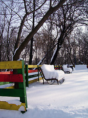 Image showing Winter in the park