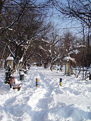 Image showing Winter in the park