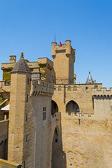 Image showing Details of the castle of Olite