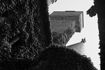 Image showing From the patio at olite castle