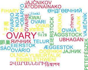 Image showing Ovary multilanguage wordcloud background concept