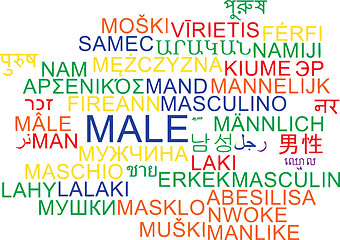 Image showing Male multilanguage wordcloud background concept