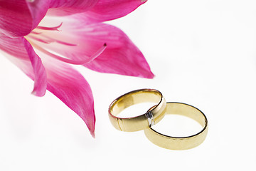 Image showing Wedding Bands