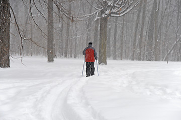Image showing Man skiing during a snowfall