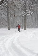 Image showing Man skiing in a fresh snow