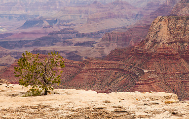 Image showing Grand Canyon