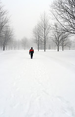Image showing Man walking on a snowy path