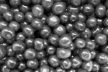 Image showing black and white friuts of berries of cherry