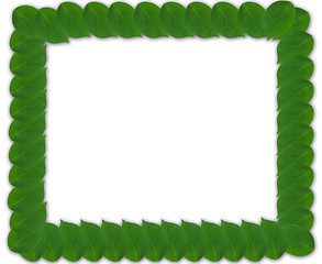 Image showing Green square frame from leaves