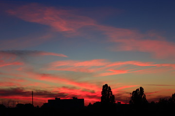 Image showing Dark summer decline above the trees