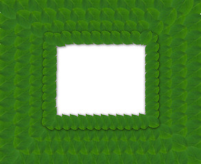 Image showing Green square frame from leaves