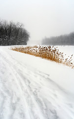 Image showing Snowy path in winter landscape