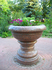 Image showing beautiful flowers on the flower-bed from marble