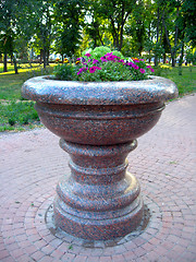Image showing beautiful flowers on the flower-bed from marble