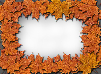 Image showing Frame from the yellow leaves on the grey