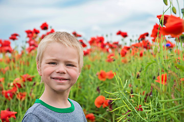 Image showing Cute boy in field with red poppies