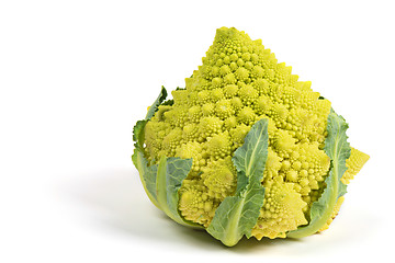 Image showing Romanesco broccoli