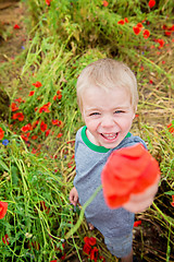 Image showing Cute boy in field with red poppies