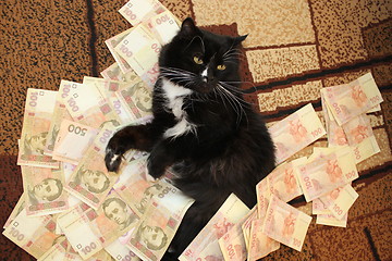 Image showing cat lying on the carpet with Ukrainian money