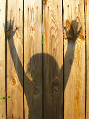 Image showing shadows of teen's hand raising up on the fence