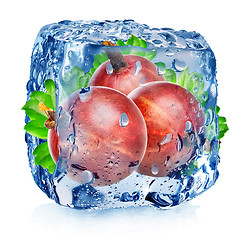 Image showing Red gooseberry in ice cube