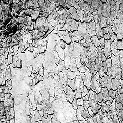 Image showing in england london old bark and abstract wood texture