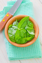 Image showing fresh basil