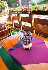 Image showing Flowerpot with lilac flowers in outdoor cafe