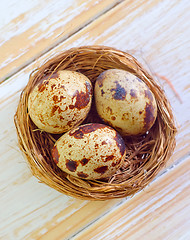 Image showing quail eggs