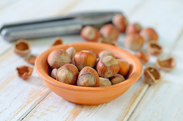 Image showing hazelnuts