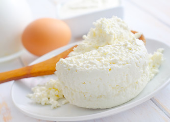 Image showing Milk products, fresh cottage in the white plate