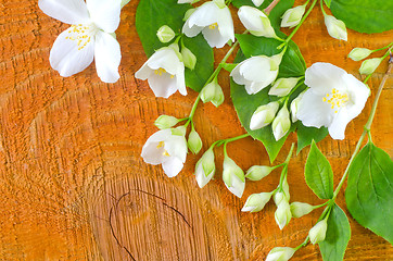 Image showing jasmin on wooden background