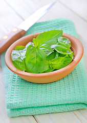 Image showing fresh basil