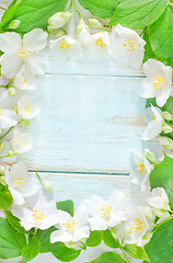 Image showing jasmine spring flowers frame on white background