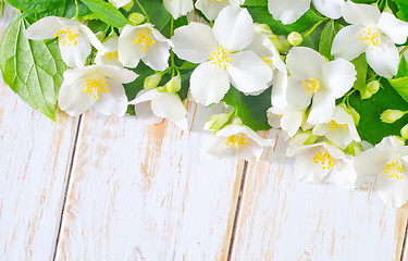 Image showing jasmine spring flowers frame on white background