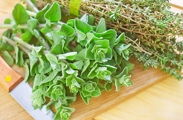 Image showing oregano with thyme