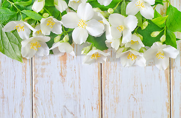 Image showing jasmine spring flowers frame on white background