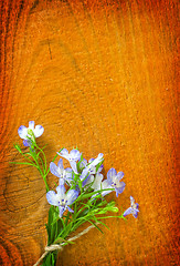 Image showing flowers on wooden background