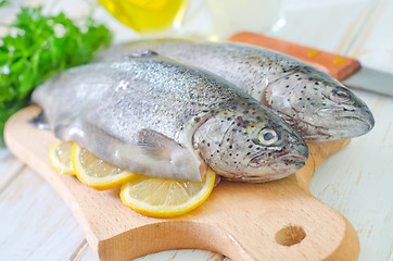 Image showing raw fish