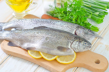 Image showing raw fish