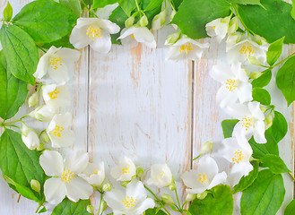Image showing jasmine spring flowers frame on white background