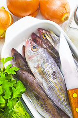 Image showing fresh fish